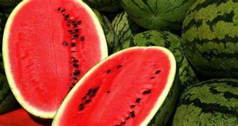 Can The Humble Watermelon Improve Your Sex Life
