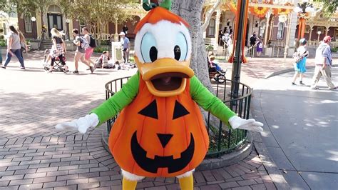 Donald Duck Meets Us In His Pumpkin Halloween Outfit At Disneyland