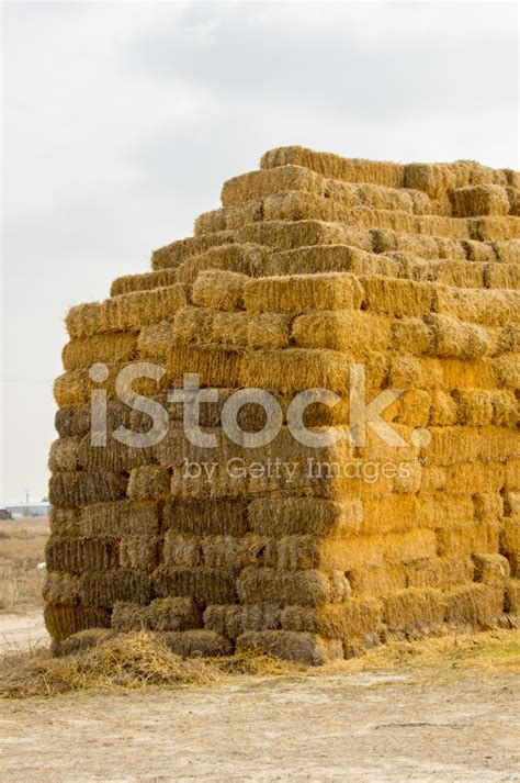 Straw Bale Stock Photo Royalty Free Freeimages