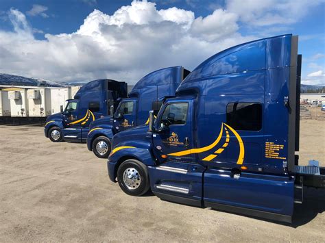 Blue Trucks Pro Ex Transport Systems Ltd