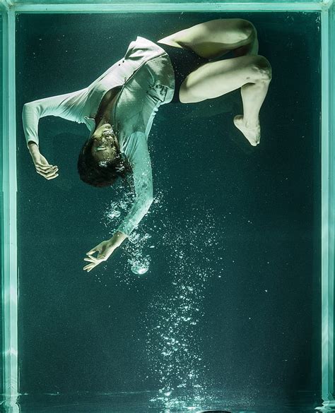 Royalty Free Photo Drowning Person On Clear Glass Tank Pickpik