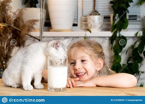 A Small Blonde Girl Sits At A Table With A White Scottish Kitten Smiles
