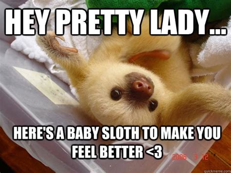 Feel Better Sloth Memes Quickmeme