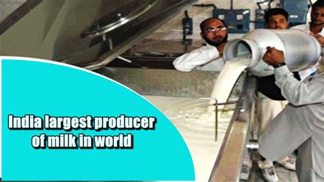 India Largest Producer Of Milk In World Contributing 21 Of Global