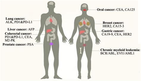 Tumor Markers