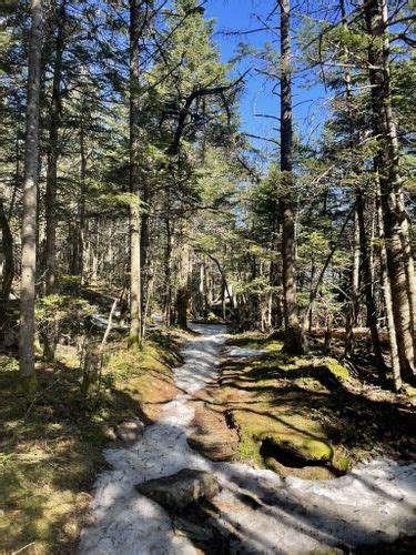 2023 Best Snowshoeing Trails In Slide Mountain Wilderness Alltrails