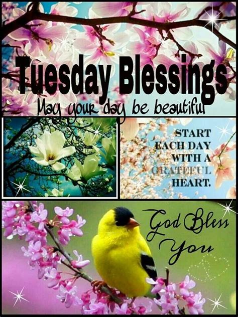 Tuesday Blessingsmay Your Day Be Beautiful ️ Tuesday Quotes Good