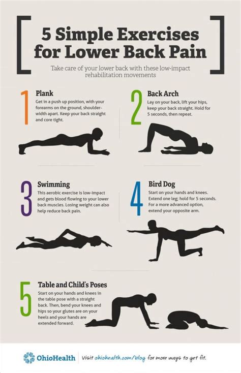 Effective Exercises For Alleviating And Preventing Low Back Pain