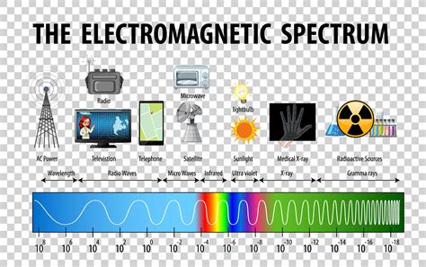 Electromagnetic Spectrum Infographic