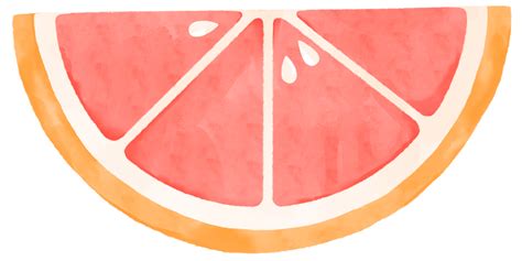 Watercolor Illustration Of Grapefruit Slice 36004165 Png