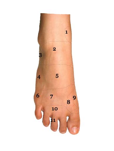 Foot Condition By Area Top Of Foot Foot Pain Diagram Sol Foot