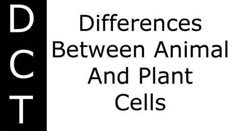 Are plant and animal cells the same? Differences Between Animal And Plant Cells (KS3/K7-11 ...