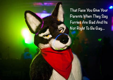 Lmao I Found This Picture And I Put The Quote On It Xd Furry Meme