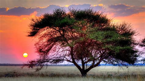 Sunset Over Kalahari HD desktop wallpaper : Widescreen : High ...