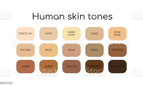 Skin Tones Palette By Name Different Types Human Skin Flat Icon Set