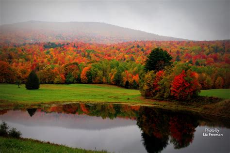 Beautiful Fall Foliage In Vermont October 2016 Photo By Liz Freeman