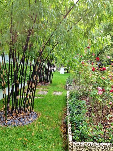 Tropical Landscape Design Miami Garden Miami By Knoll Landscape