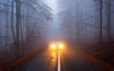 Road Safety Tips For Driving In Fog Zameen Blog