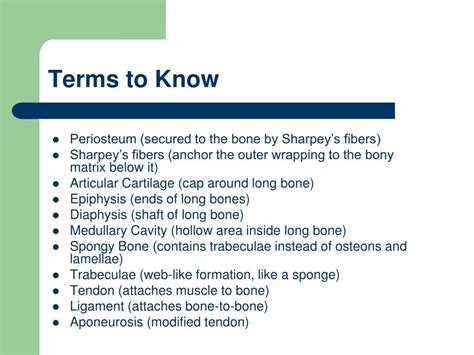 Ppt Long Bone Anatomy Powerpoint Presentation Free