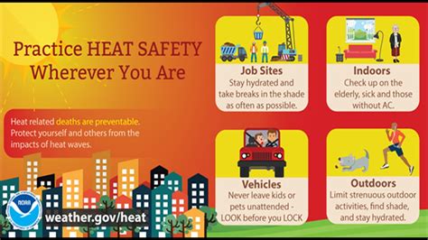 Need To Know Hot Car Safety