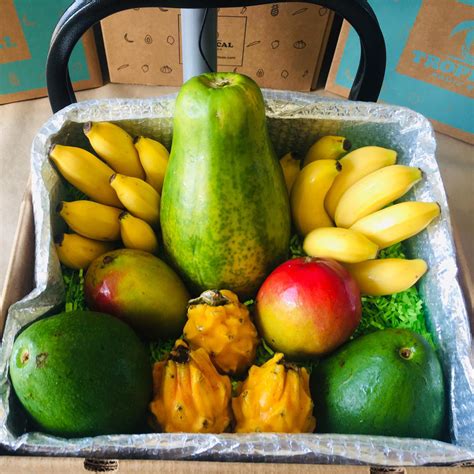 Taste Of Paradise 16 Lb Box Tropical Fruit Box Touch Of Modern