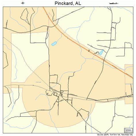 Pinckard Alabama Street Map 0159832