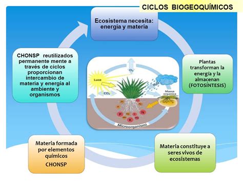 Los Ciclos Biogeoquimicos Y La AplicaciÓn De Tic Para La EnseÑanza