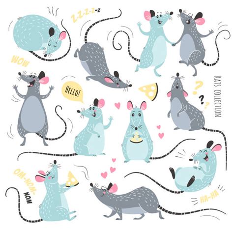 Rat Cartoon Characters Illustrations Royalty Free Vector Graphics