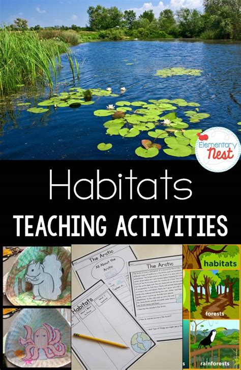 Teaching Habitats Activities And Resources With A Freebie