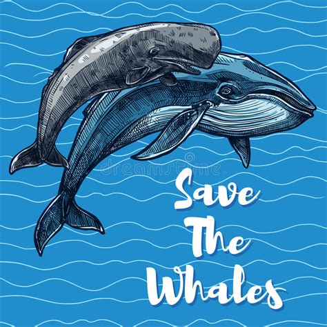 Vector Poster For Whales Saving Stock Vector Illustration Of Catch