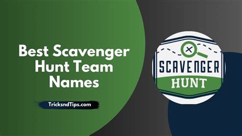 529 Best And Catchy Team Names For An Epic Scavenger Hunt New