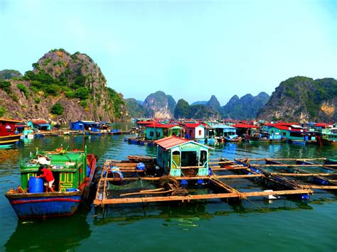 See more ideas about cat ba island, island, cat ba archipelago. - Ha Long - Cat Ba island, every day in small group. - Ha ...