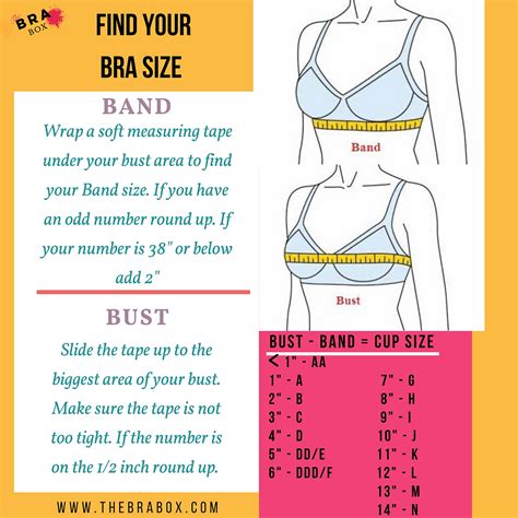 Find Your Bra Size In Three Steps