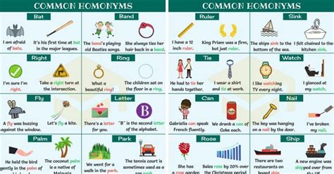 300 Great Examples Of Homonyms In English 7ESL Homonyms Homonyms