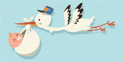 Premium Vector Cute Cartoon Stork And Baby Illustration Of A Flying