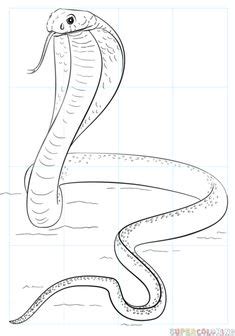 از کانال the autosurf simple efficient and powerful. snake drawings for kids | King Cobra Coloring Pages ...