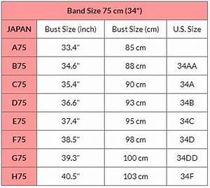 Cup Size Chart Visual Nelomove