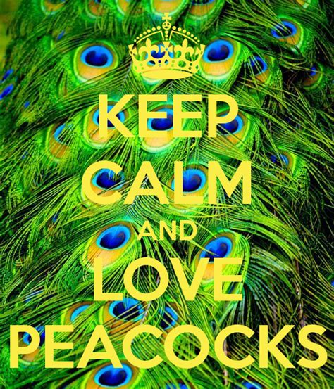 Items similar to peacock, quote decal, peacock feathers, peacock decor, peacock wall decal, quote decal, peacock wall art, inspirational quote decal, birds on etsy. Quotes About Love And Peacocks. QuotesGram