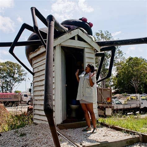 giant redback spider scares customers natureworks