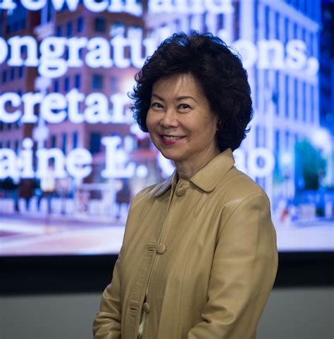 She's the 18th united states secretary of transportation and the 24th u.s. Senate Confirms Elaine Chao As Transportation Secretary - Character Media