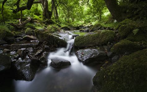 Landscape Stream Water Long Exposure Forest Watermarked Trees