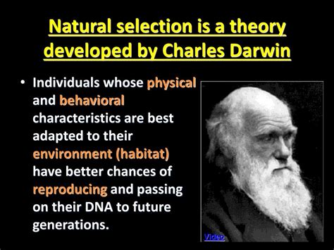 Ppt Natural Selection Is A Theory Developed By Charles Darwin