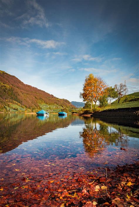 Golden Autumn Lake Lungern Autumn 2017 Switzerland Autumn Lake