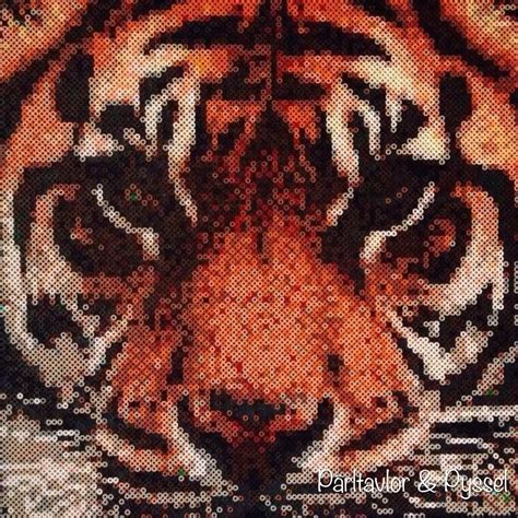 Tiger Perler Bead Art Photopearls By Parltavlor Pyssel Perler Bead