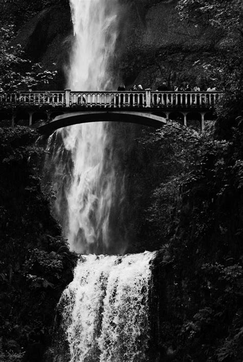 Multnomah Falls Bridge Over Waterfall In Black And White Photograph By