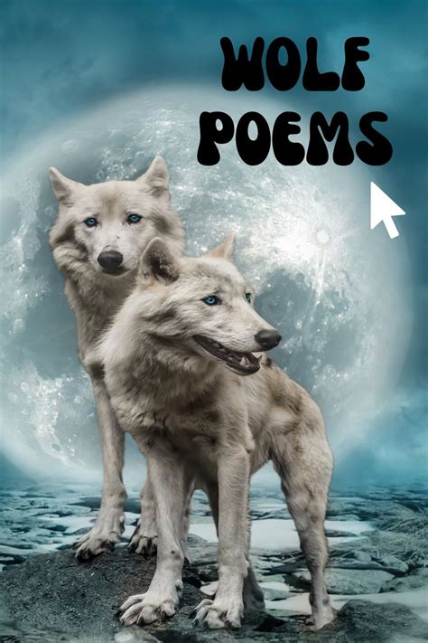 27 Impactful Wolf Poems Aestheticpoems