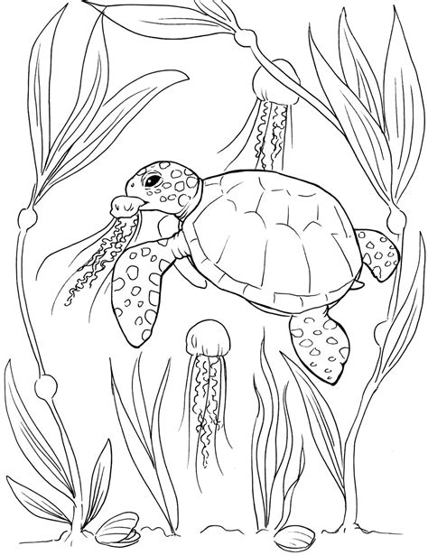 Sea Turtle Coloring Pages Etsy