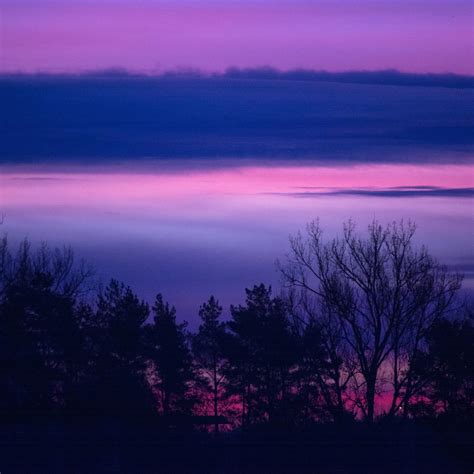 2048x2048 Clouds Forest Landscape Lilac Purple Serene Sunrise Sunset