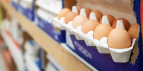 all those confusing egg carton labels explained in one infographic huffpost