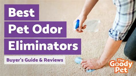 5 Best Pet Odor Eliminator March 2024 Reviews The Goody Pet